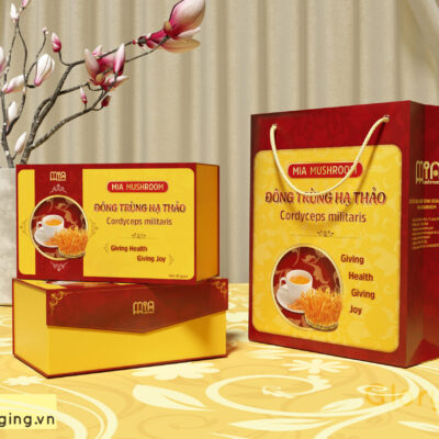 NẤM KHÔ ĐÔNG TRÙNG HẠ THẢO 40 G