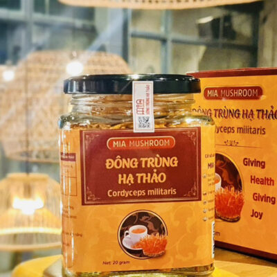 NẤM KHÔ ĐÔNG TRUNG HẠ THẢO